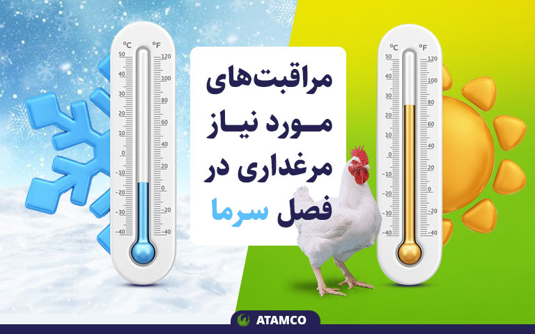 مراقبتهای مورد نیاز مرغداری در فصل سرما